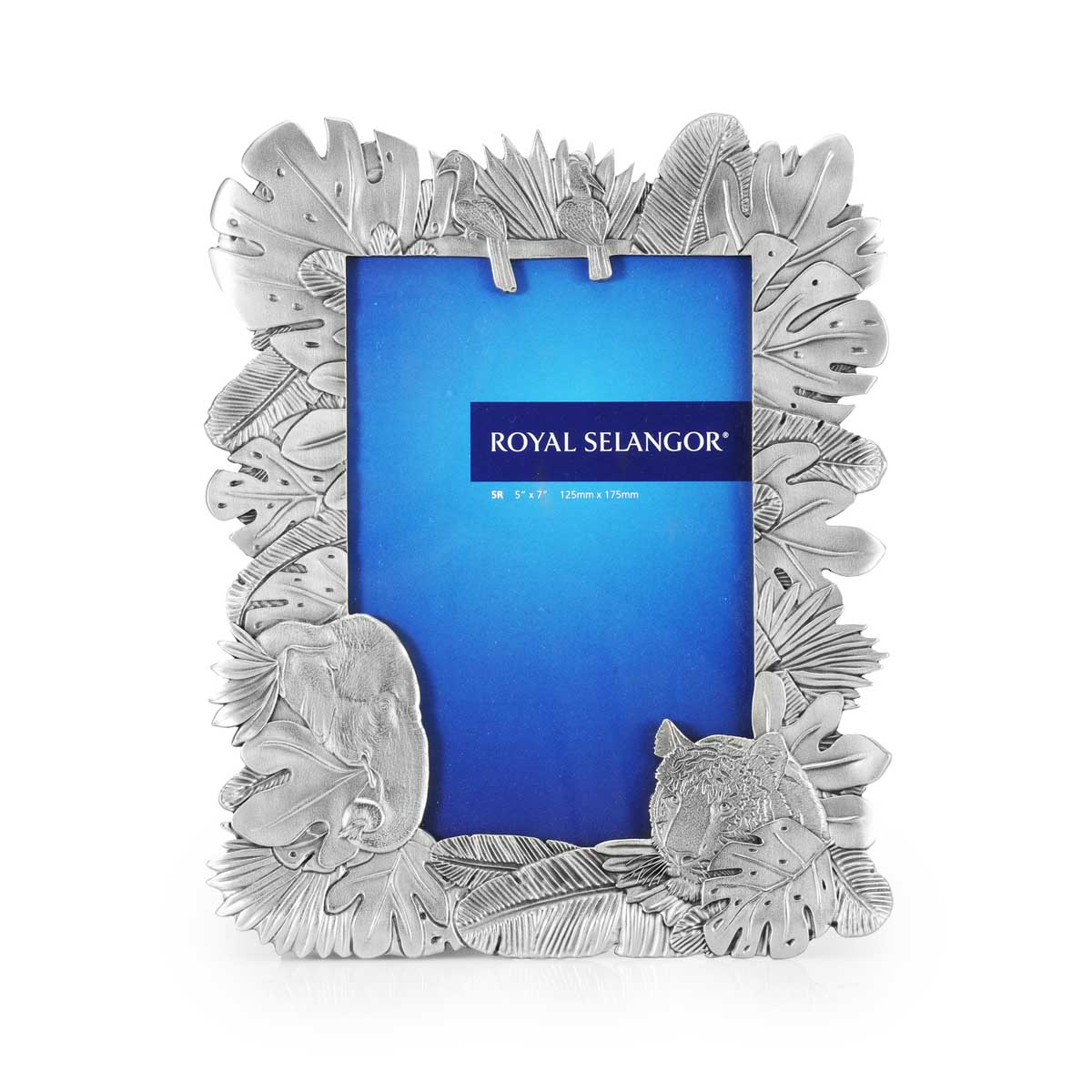 Earth Photo Frame 5R