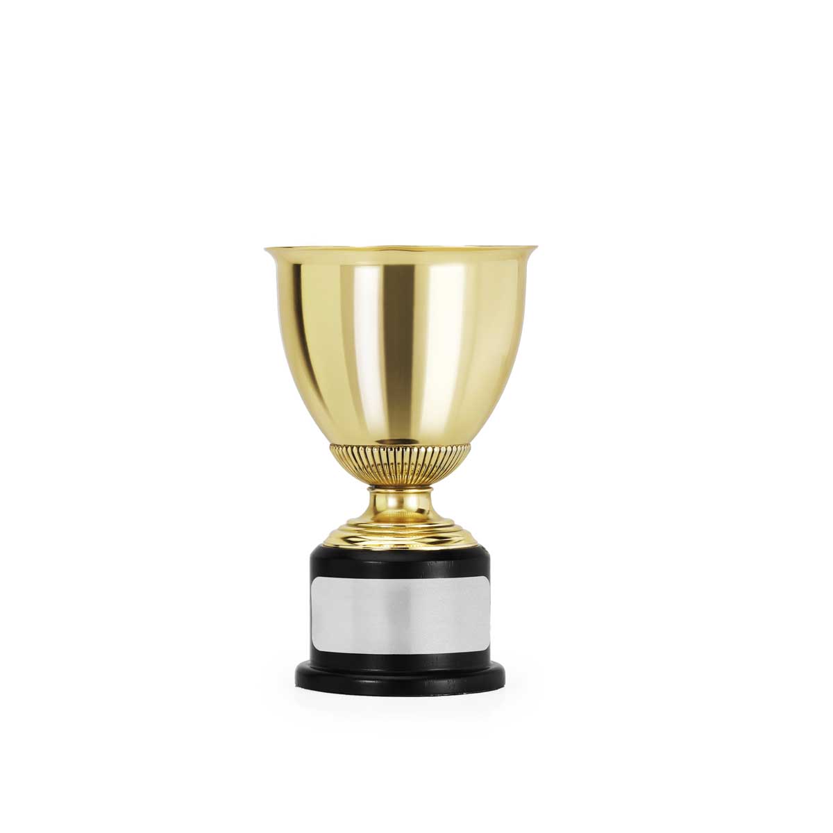 Champion's Trophy SM, Gold