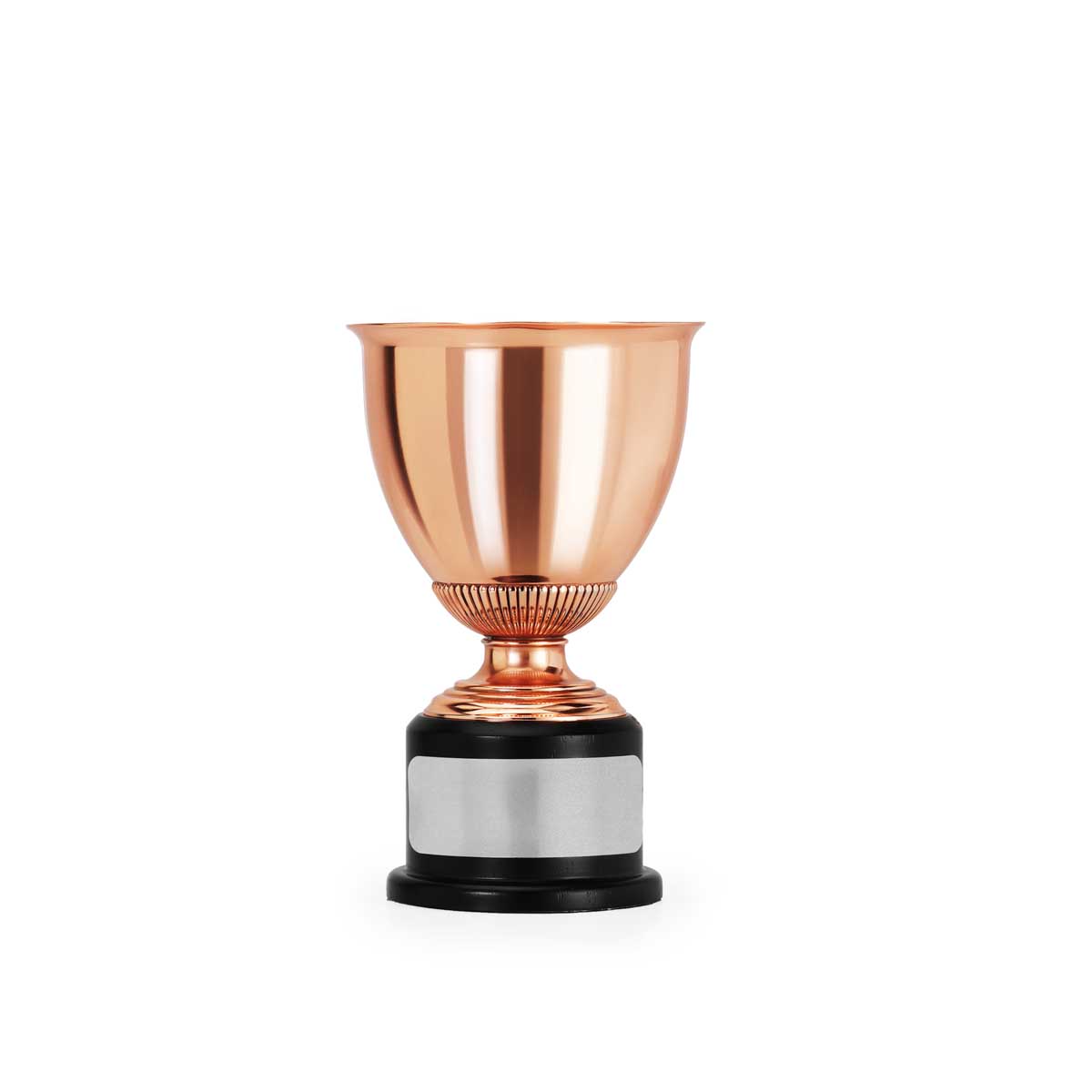 Champion's Trophy SM, Bronze